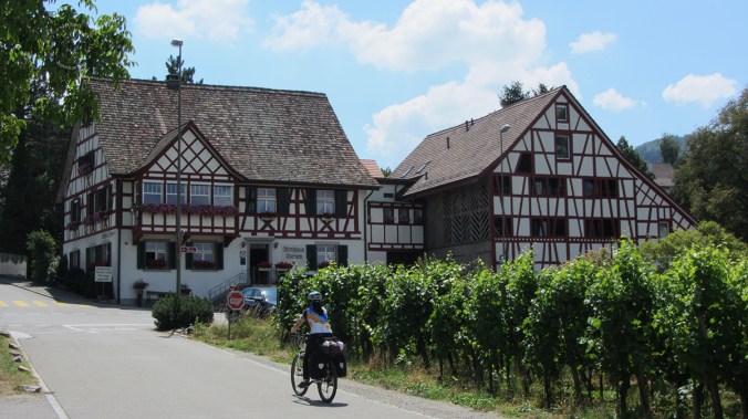 cienmilpedaladas_galeriarin_22